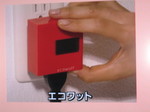 2008-2-2FTV023.jpg